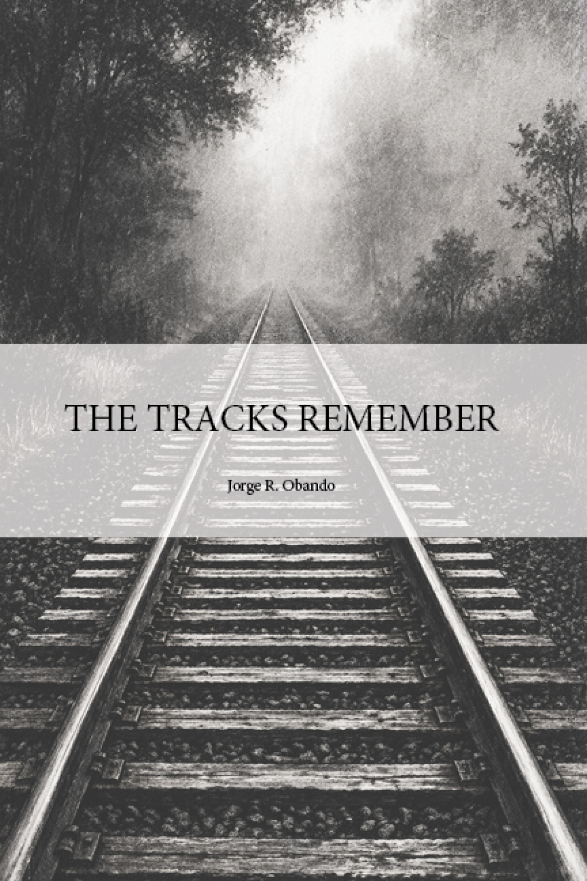 Cover for The Tracks Remember