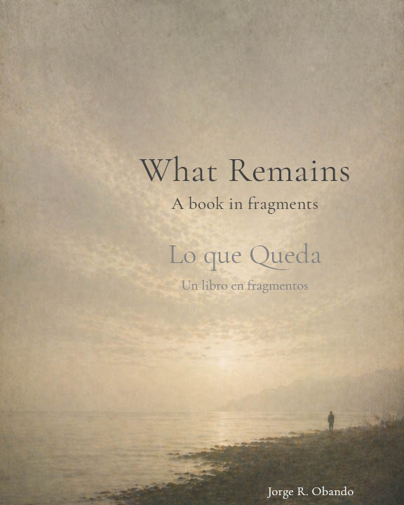 Cover for What Remains